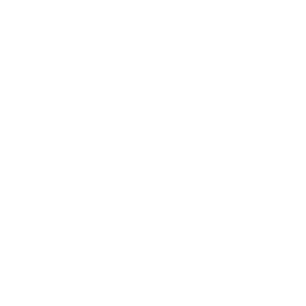 RustLion logo